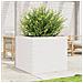 Fioriera Da Giardino Bianca 80x80x68,5cm Legno Massello Di Pino - Foto miniatura 3