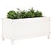 Fioriera Da Giardino Bianca 82,5x40x39cm Legno Massello Di Pino - Foto miniatura 3