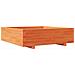 Fioriera Giardino Marrone Cera 90x90x26,5cm Legno Massello Pino - Foto miniatura 2
