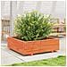 Fioriera Giardino Marrone Cera 90x90x26,5cm Legno Massello Pino - Foto miniatura 3