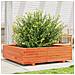 Fioriera Giardino Marrone Cera 90x90x26,5cm Legno Massello Pino - Foto miniatura 1