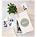 Carta Fotografica Appi Photobright 10 X 15 Cm 240 G 20 Nebbie - Foto miniatura 2