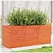 Fioriera Giardino 110x40x45,5cm Legno Massello Pino - Foto miniatura 1