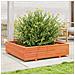 Fioriera Giardino 100x100x26,5cm Legno Massello Pino - Foto miniatura 3