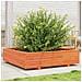 Fioriera Giardino 100x100x26,5cm Legno Massello Pino - Foto miniatura 1