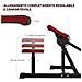 Panca Romana 2 in 1 per Curl e Tricipiti con Sedile a 5 Livelli e 25 Regolazioni, Nero - Foto miniatura 2