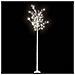 Albero Natale 220 LED 2,2m Salice Bianco Freddo Interno Esterno - Foto miniatura 1