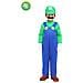 Costume Luigi Di Pegasus Vestito Carnevale Pegasus Bambino 3/4 Anni - Foto miniatura 1