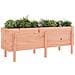 Fioriera Rialzata Giardino 160x50x57 Cm Legno Massello Douglas - Foto miniatura 3