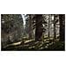 Red Dead Redemption 2 Standard Xbox One - Foto miniatura 25