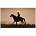 Red Dead Redemption 2 Standard Xbox One - Foto miniatura 27