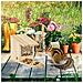 Squirrel Feeder Casa Nutrire Stazione Box In Piedi Legno Hwd 175 X 12 X 25 Cm Fiammato Legno E Plastica Brown Confezione Da 1 - Foto miniatura 4