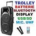 Cassa Amplificata Attiva Trolley 1000w Batterie Bluetooh Usb / sd - Foto miniatura 1