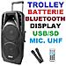 Cassa Amplificata Attiva Trolley 1000w Batterie Bluetooh Usb / sd - Foto miniatura 4