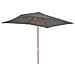 Ombrellone Da Esterni Con Palo In Legno 200x300 Cm Antracite - Foto miniatura 5