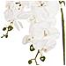 Pianta Artificiale Oncidium Orchid Bianco - Foto miniatura 4