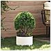 Vaso da giardino Bianco 30 x 30 x 20 cm Acciaio - Foto miniatura 2