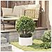 Vaso da giardino Bianco 30 x 30 x 20 cm Acciaio - Foto miniatura 4