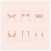 Fascia Pettorale Con Effetto Lifting Beige 5x5 Cm - Foto miniatura 2