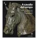F. Paolucci - A cavallo del tempo. L'arte di cavalcare dall'antichità al medioevo. Catalogo della mostra (Firenze, 26 giugno-14 ottobre 2018). Ediz. a colori - Foto miniatura 2