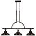 Quoizel Qz / emery3p Pn - Lampadario Da Soffitto Per Penisola, In Bronzo, Con 3 Lampadine, 33 X 135,9 X 55,9 Cm - Foto miniatura 7