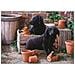 Puzzle Bill & Ben 49 X 34,2 Cm 500 Pezzi - Foto miniatura 1