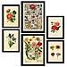 Set Di 6 Stampe Fiori In Stampe Vintage, Dipinti Decorativi Estetici Per Il Tuo Soggiorno, Camera Da Letto, Casa A3 & A4 Senza Cornice - Foto miniatura 1