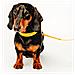 Guinzaglio Per Cani Giallo - S - Foto miniatura 3