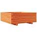 Fioriera Giardino Marrone Cera 70x70x26,5cm Legno Massello Pino - Foto miniatura 2