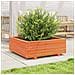 Fioriera Giardino Marrone Cera 70x70x26,5cm Legno Massello Pino - Foto miniatura 3