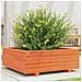 Fioriera Giardino Marrone Cera 70x70x26,5cm Legno Massello Pino - Foto miniatura 1