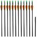 Set 12 Frecce Standard Per Archi Ricurvi 76,2 / 0,6 Cm Fibra Di Vetro - Foto miniatura 1