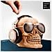 Salvadanaio Skull With Sunglasses H3515204 - Foto miniatura 1