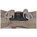 Imbracatura Per Cani 31-34,6 Cm Beige Xs 27-28 Cm - Foto miniatura 3