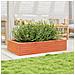 Fioriera Giardino Marrone Cera 110x60x23 Cm Legno Massello Pino - Foto miniatura 3