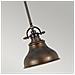 Quoizel Qz / emery / p / s Pn - Lampadario Da Soffitto, In Bronzo, 20,3 X 20,3 X 22,9 Cm - Foto miniatura 5