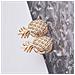 Fibbia Per Cintura A Forma Di Ananas Per Jeans - 5 Paia Gold - Foto miniatura 2