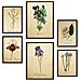 Set Di 6 Stampe Collezione Di Piatti Con Fiori Vintage E Collage Estetico Per La Decorazione D'interni A3 & A4 Cornice Nera - Foto miniatura 1