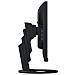 Monitor 23.8" LED IPS FlexScan EV2490 1920x1080 Full HD Tempo di Risposta 5 ms - Foto miniatura 5
