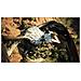 Dragon's Dogma 2 Standard Inglese PlayStation 5 - Foto miniatura 29