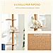Albero Tiragraffi Per Gatti A 4 Livelli, Fissaggio A Soffitto Regolabile, 43x27x228-260cm - Foto miniatura 4