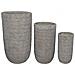 Set Di 3 Vasi Oleandro - Foto miniatura 1