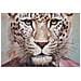 Dipinto Su Tela King B Leopardo Gentleman Con Cornice, 82x122 Cm - Foto miniatura 3