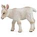 Figurine - Chevreau Marchant - Collecta 88787 - Foto miniatura 1