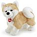 Peluche Akita Ascanio M - Foto miniatura 1