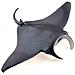 Figura Manta Ray Multicolor - Foto miniatura 1