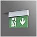 Indicazione Via Di Fuga Illuminata Montaggio A Soffitto - Foto miniatura 1