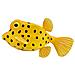 Figurine - Poisson Coffre Jaune - Collecta 88788 - Foto miniatura 1