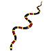 Safari Ltd Creature Incredibili Serpente Corallo - Foto miniatura 1