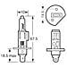 Lampadine Xenon100 H1 12v 55w - Foto miniatura 2